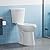 Two Piece Toilet with 21" Extra Tall Height, Elongated Ceramic Bowl without Lid -Dual Flush, CUPC Certified, Water Efficient