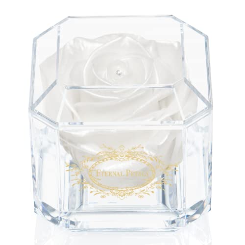 Una rosa 100% real que dura años - pétalos eternos, hechos a mano en Reino Unido - oro solo con un cristal de Swarovski transparente (blanco satinado) Cover