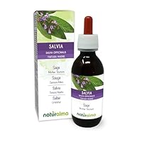 Salbei (Salvia officinalis) Blätter Alkoholfreier Urtinktur Naturalma - Flüssig-Extrakt Tropfen 120 ml - Nahrungsergänzungsmittel - Veganer