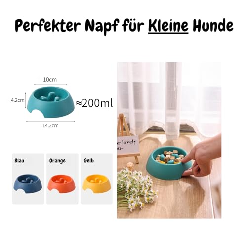 Antischlingnapf für Kleine Hunde, Anti Schling Napf Hund/Katze,Hundenapf, Katzennapf, Katzen/Katzenfutter Napf(Grün)