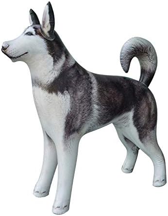 Jet Creations Inflatable Husky Dog Alaskan Pet Animal 32 inch Long for Party Decoration Gift Stuffed Animals Pool Toy an-Husky, Multi