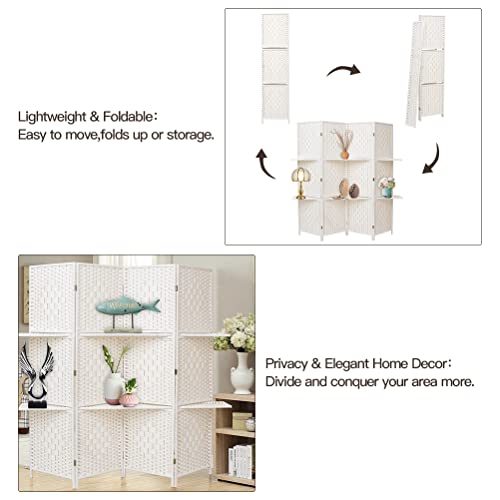 Room Divider with Shelves