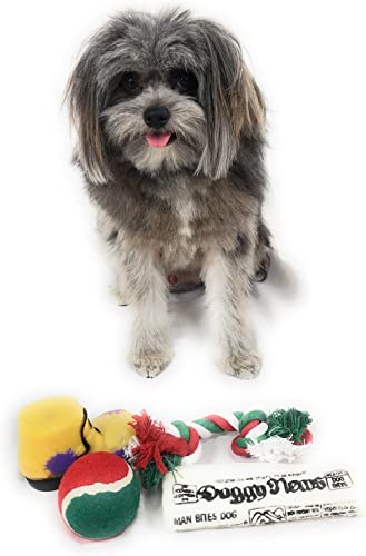 Christmas Stocking For Dogs. Squeaky Newspaper / Boot Toy, A Red, Green And White Tennis Ball And A Red, White And Green Cotton Knotted Rope. #TOP3