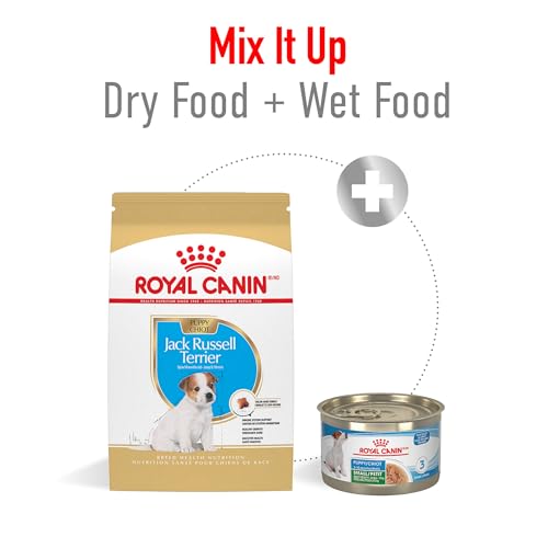 Royal Canin Breed Health Nutrition Jack Russell Terrier Puppy Dry Dog Food, 3 lb Bag - Thumbnail 3