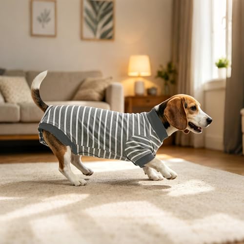 Image of Dog Surgery Recovery Suit Spay Recovery Onesie for Female Male Dogs