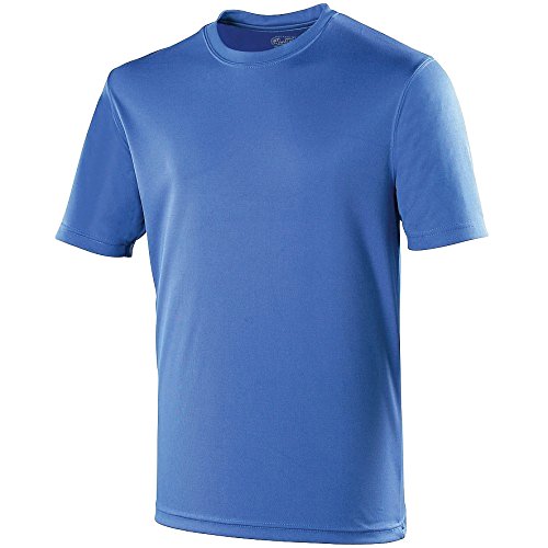 Just Cool Mens Performance Plain T-Shirt (L) (Royal Blue)