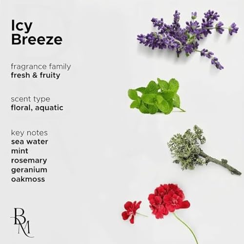 Image of Bombay Musk Icy Breeze Luxury Car Perfume | Long Lasting Car Fragrance & Car Freshener | Alcohol Free & Plant Based | 60+ Days | 200+ Sprays | Perfume for Car