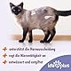 Ida Plus Renal Care Mini Sticks - für eine natürlich gesunde Nierenfunktion - gleicht Phosphatüberschuss aus - bindet urämische Toxine bei Katzen - unterstützt die Harnausscheidung der Katze - 80 STK