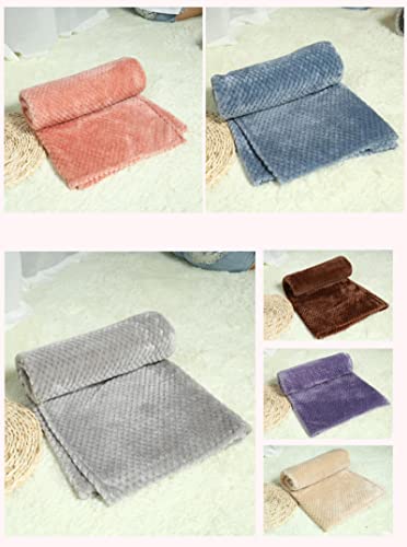 Couverture pour chien moelleuse pour protéger votre canapé 80x60