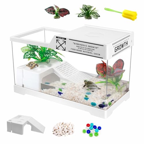 reptile habitat starter kits