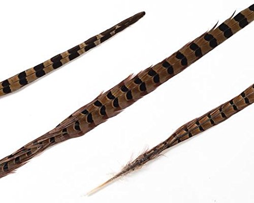 Honbeanify 12 pc, Natural, Ringneck Pheasant Feathers, (Choose Your Size) for Floral, Millinery, Wholesale, per 12 Pieces (14-18 inch)