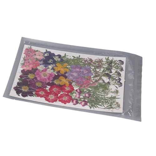 110 flores prensadas secas para manualidades miniatura 4