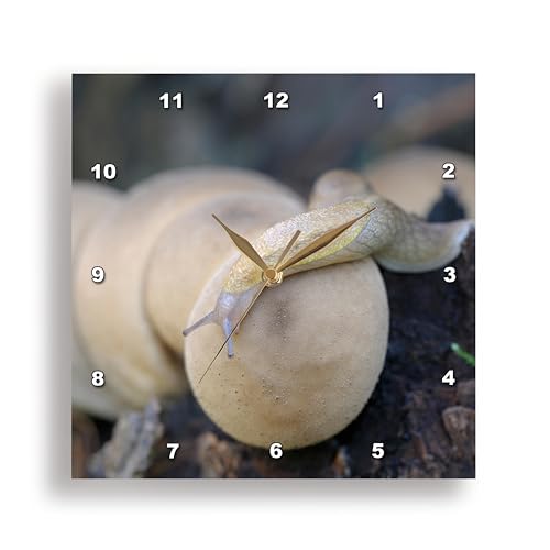 Reloj de pared analógico 3D Rose aluminio 10 pulgadas miniatura 2