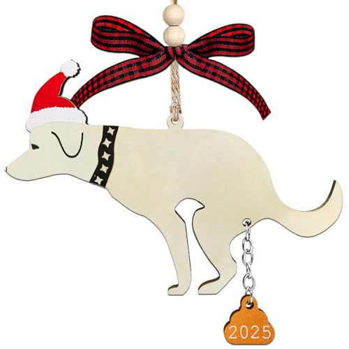 Funny Christmas Ornaments 2025