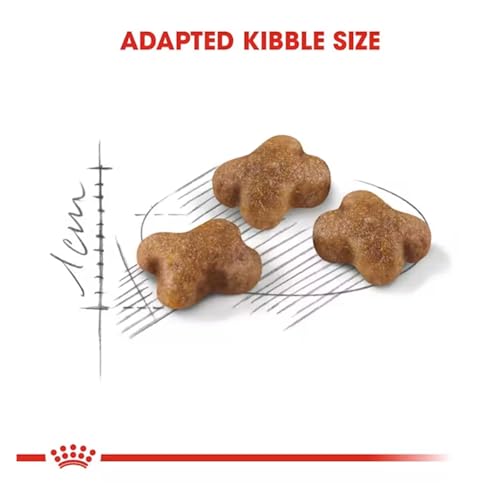 Image of Royal Canin Kitten Food, 2 Kg, Dry Food, Supports strong Immune System & Digestive Health