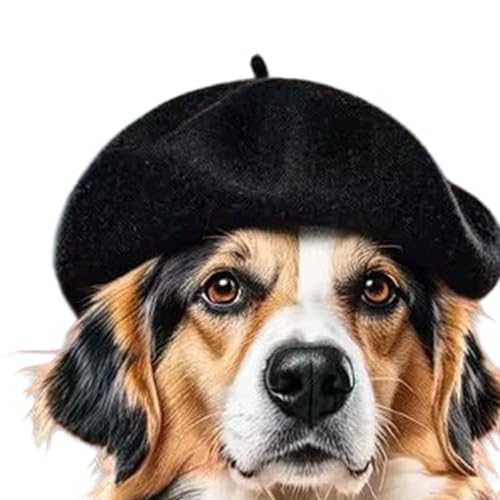 Pet Warm Wool Hat for Winter Warmth Cold Weather Cats Dog Hat for Festival Gathering Dressingup Photography Headwear Pet Accesso