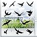 22 Stück Vogelschutz Fenster, Fensterbilder Selbstklebend Fensteraufkleber Vogelschutz Vogelaufkleber für Fensterscheiben