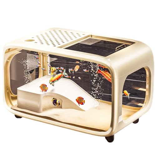 Quxxuol Zbg a̐݌v ʋCE  ʊϏ ybgpϏܐ VvȊO CeAAւɓKĂ܂ (x[W,{pbP[W)