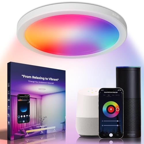 DeerTalk 12in Smart Ceiling Light