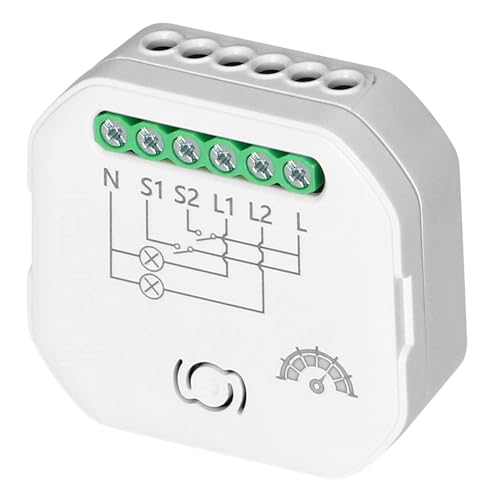 Smart Wi-Fi 2,4 GHz ricevitore a 2 canali con dimmer, relay, compatibile con Alexa, Google Home, controllo vocale, LED adatto