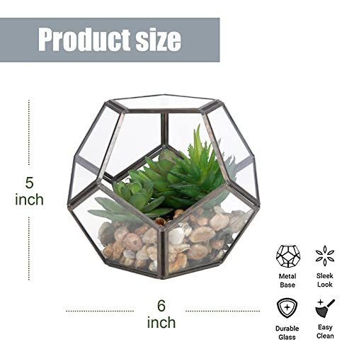 Chonsun Black Glass Geometric Plant Terrarium Pentagon, Handmade Planter For Succulent Fern Moss Air Plants, Miniature Fairy Garden Container, Home Tabletop Decor Gift (No Plants Included) 6.7X5.5In #TOP5