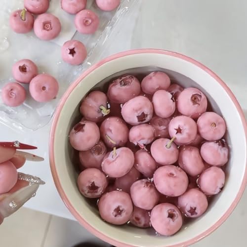 500/1000 Premium Pink Blueberry Seeds, Fruit Plant Seeds for Home Garden Growing and Edible Landscape Design All Seasons, Edible Berry Plant with Planting Instructions (500,A)