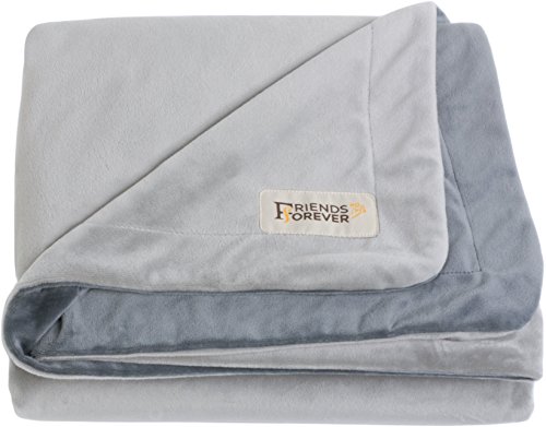 Friends Forever Durable Dog Blanket for Couch Protection | Two Tone Reversible Pet