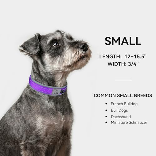 Image of Joytale Dog Collar for Small Dogs, Neoprene Padded and Adjustable, Reflective Wide Heavy Duty Pet Collars with Durable Metal Belt Buckle for Walking, Purple, S