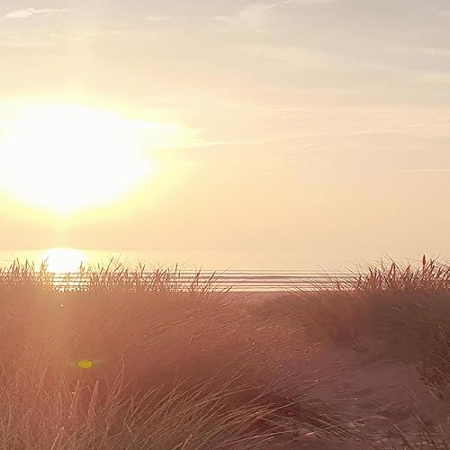 Amazon MusicでcatのLightを再生する