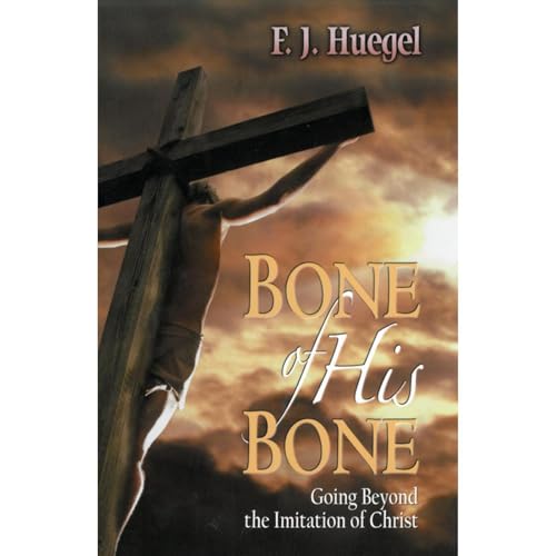 Bone of His Bone Audiobook By F.J. Huegel cover art