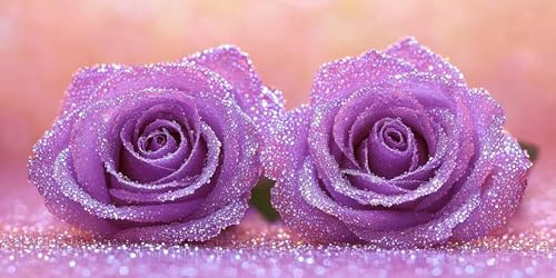 �������G ���̃o�� Paint by Numbers �h��G �L�b�g ��l �����ʂ肦 ��l�p�����h��G�L�����o�X�N���t�g ���� �L�����o�X�A�[�g �u���V�ƃA�N�����G�̋��, �I�t�B�X �C���e���A ���r���O����, �����ւ̃M�t�g 90x180cm (�t��