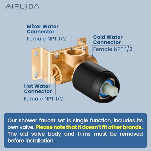 Robinet de douche noir mat 20,3 cm avec valve brute incluse SUS304