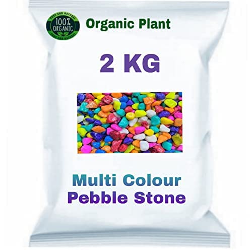 Organic Plant Decorative Stone Aquarium and Vase Fillers Pebbles (Multicolour) (2) (B0B2N45219) Amazon Price History, Amazon Price Tracker