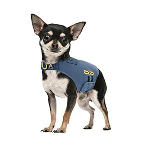 Cozyvest® Dog Anxiety Vest 3in1 Music  Aromatherapy Shirt Relaxing Sound  Essential Oils Jacket Fireworks Thunder Separation  Thunderstorm Canine Stress Relief Coat gray Xxs up to 7 Lbs  Cucciolini Doodles Cozyvest® dog anxiety vest 3 in 1 music  aromatherapy shirt relaxing sound  essential oils jacket fireworks thunder separation  thunderstorm canine stress relief coat gray xxs up to 7 lbs   cucciolini doodles