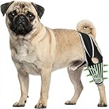 KISFLY Dog Knee Brace for Small Dogs Back Leg Support, Luxating Patella Recovery Aid for ACL Tear, Petite Breed Hind Leg Stabilizer with Reflective Wrap, Support for Joint Strain – XS