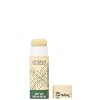 The Earthling Co. Lip Balm - Natural, Organic, Mint Lip Care - Non-tinted, Bee-free, Moisturizing Treatment Stick with Pomegranate Sterols, Coconut, and Butters (Peppermint, 0.33 oz)