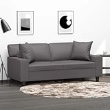 Brokky 2-Sitzer-Sofa mit Zierkissen Cauchsofa Sitzecke Wohnzimmer Sitzcouch Grau 140 cm Kunstleder