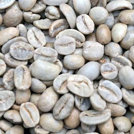 014151.com コーヒー生豆 ホンジュラス産 SHG マルカラ Qグレード 無農薬無化学肥料栽培 未焙煎 907g (2ポンド)