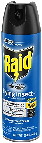 Raid Flying Insect Killer Outdoor Fresh Scent #TOP22