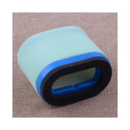Filtre à air pour l'entretien de printemps des moteurs 5 et 6 ch 690610