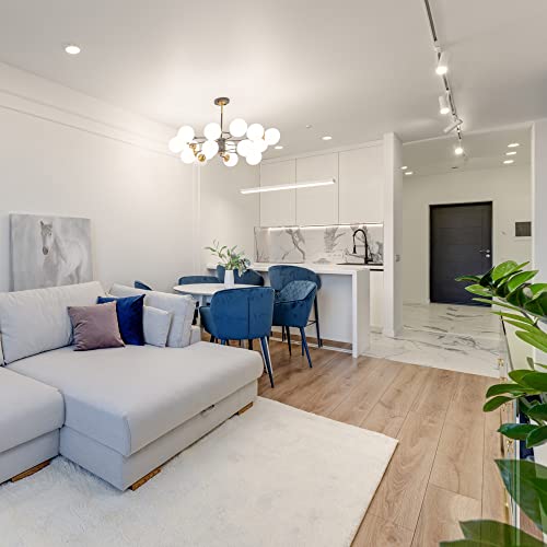 Eaglod 15W Led H Track Lighting Heads,Focusing Led Track Lights Fixtures For Accent Retail Artwork, Linear Track Light H Type -4000K Daylight 120V Beam Angle 15 To 60 Degrees Halo Type 6 Pack (White) #TOP5