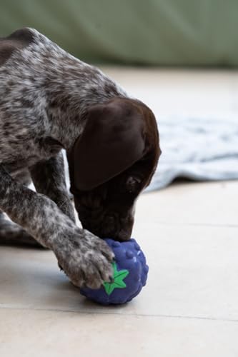 Petface Hundespielzeug, Latex, Brombeere, Größe S