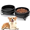 Ceramic Dog and Cat Bowl Set with Stand, 1.7 Cups Dog Food and Water Bowl Suitable for Small and Medium Pets (13.5oz Black)
