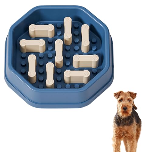 Lifetips EFVeAiWelsh Terrierj ybgpX[t[h{E Lp Hh~  Փx ~ 􂢂₷ NǗ 킢fUC iB^Cv fju[j