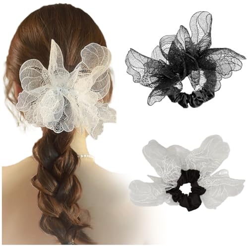 FASELE VV wAS S {[ DI [X wAANZT[ 傫  l  fB[X GKg  ɗD Mtg v[g(2Zbg) (2_Zbgis K[Xj)