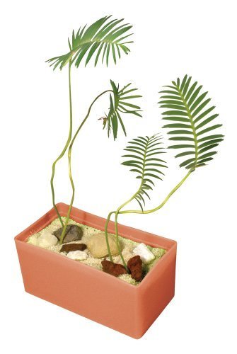DuneCraft Plant Cubes - Prehistoric Plant by Dunecraft [Toys & Games]