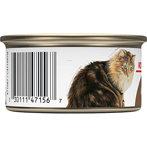 Royal Canin Aging 12+ Thin Slices In Gravy Canned Cat Food, 3 Oz Cans #TOP3