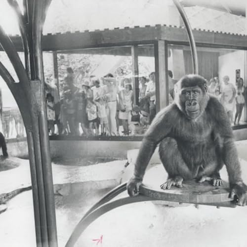 Toronto Zoo
