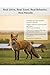 Fox Urine Trap Shack Pure 100% Red Fox Urine 16 oz Uncut Full Strength Protect Your Garden with Real Predator Urine Easy to Use Squeeze Bottle