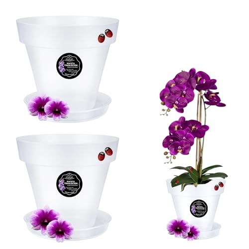 LiveLaif   2 pcs � 15cm Maceta Orquidea